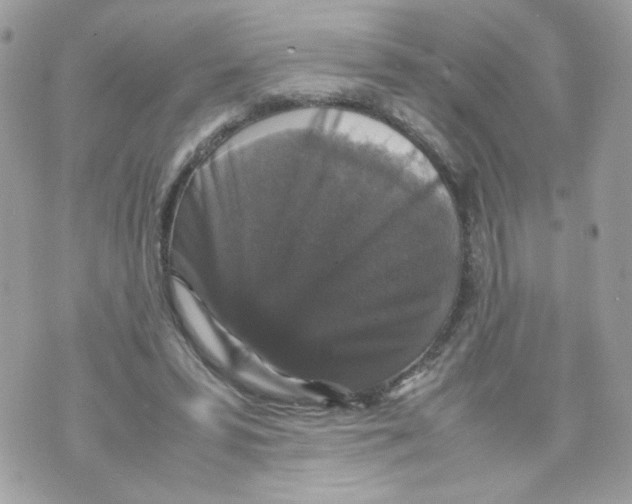 X0000070350399200607072043