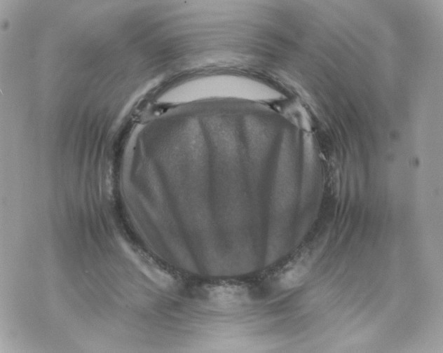 X0000070350400200607072043