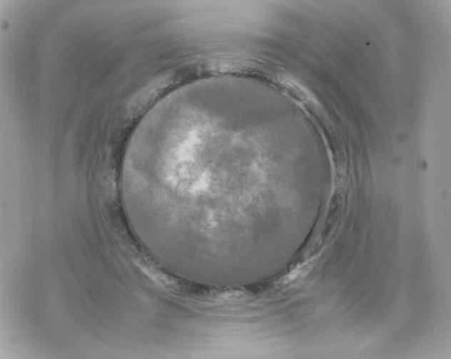 X0000070350401200607072043