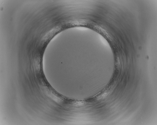 X0000070350402200607072043