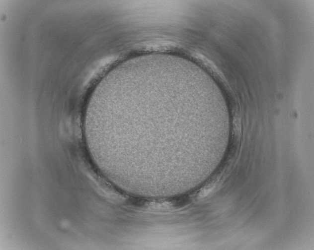 X0000070350403200607072043