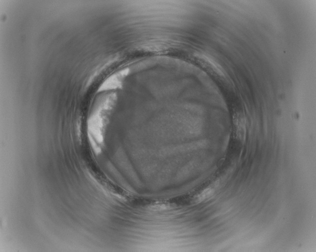 X0000070350404200607072043