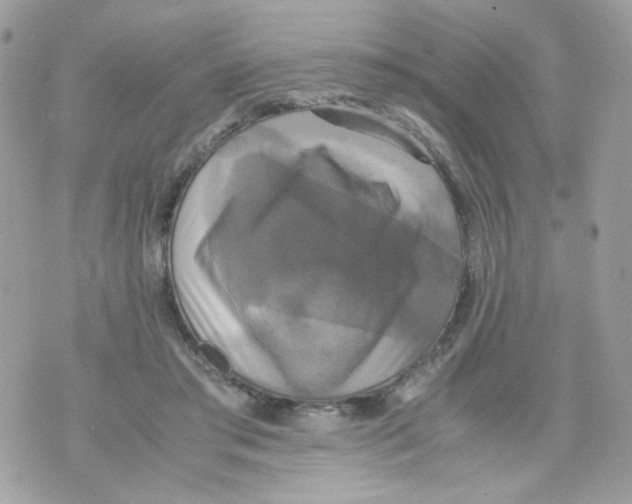 X0000070350405200607072043