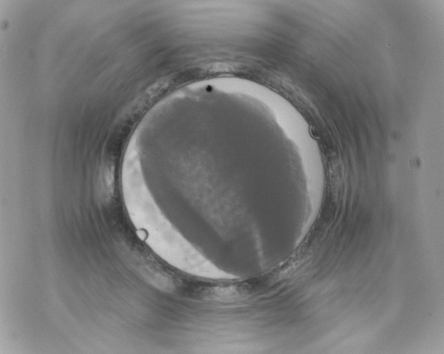 X0000070350406200607072043