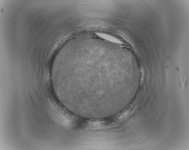 X0000070350407200607072043