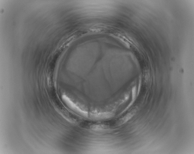 X0000070350408200607072043