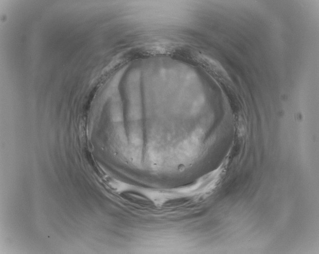 X0000070350409200607072043