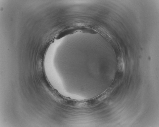 X0000070350410200607072043