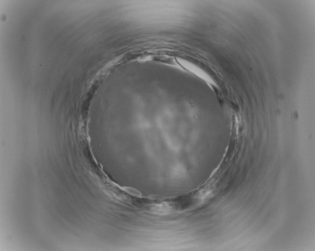 X0000070350411200607072043