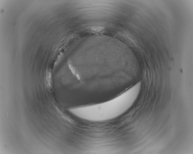 X0000070350412200607072043