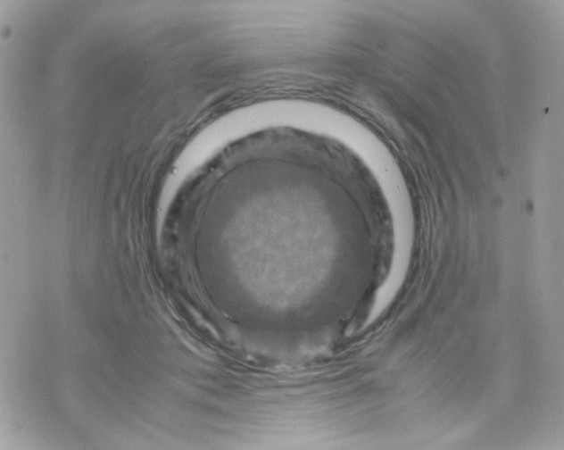 X0000070350413200607072043