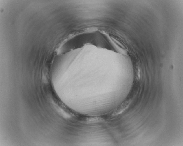 X0000070350414200607072043