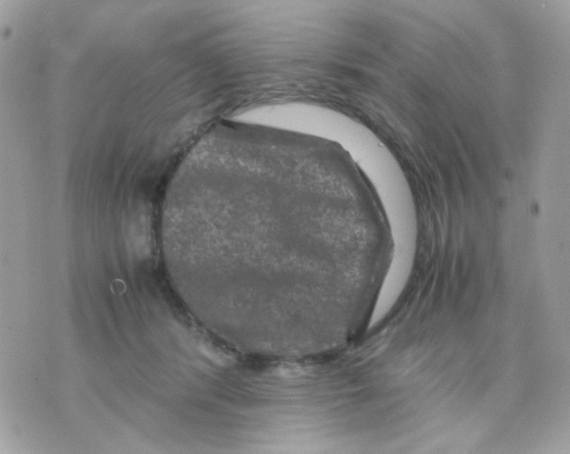 X0000070350416200607072043