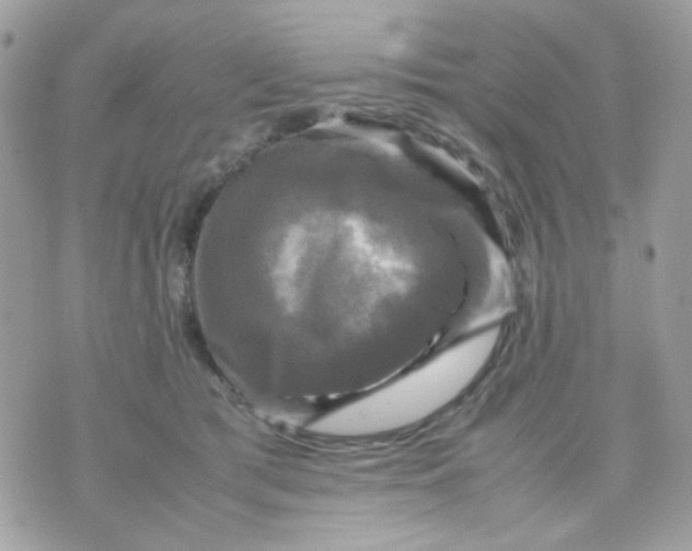 X0000070350417200607072043