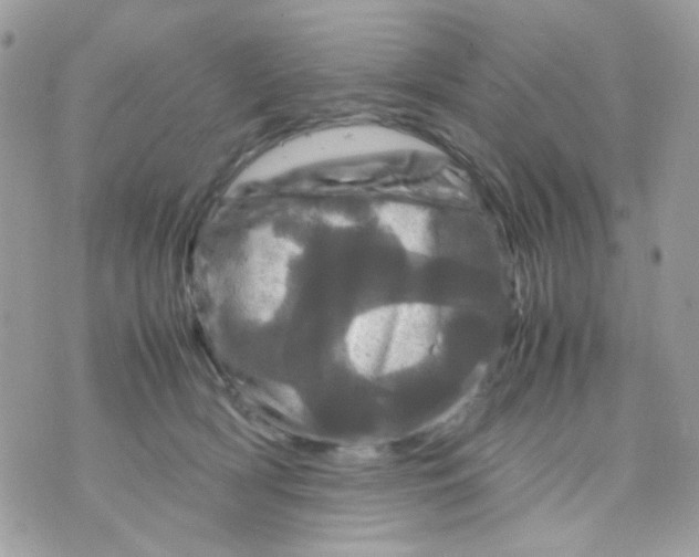 X0000070350418200607072043