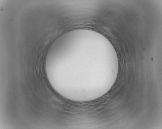 X0000070350419200607072043