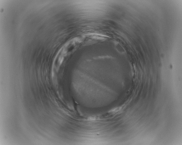 X0000070350420200607072043