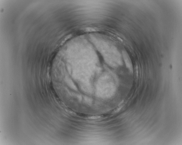 X0000070350422200607072043