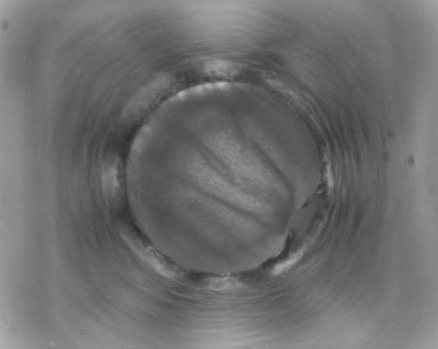 X0000070350424200607072043