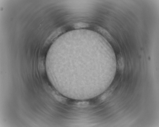 X0000070350426200607072043