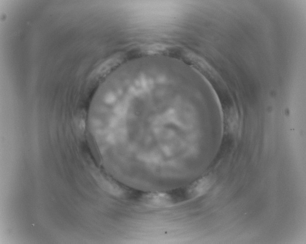 X0000070350427200607072043