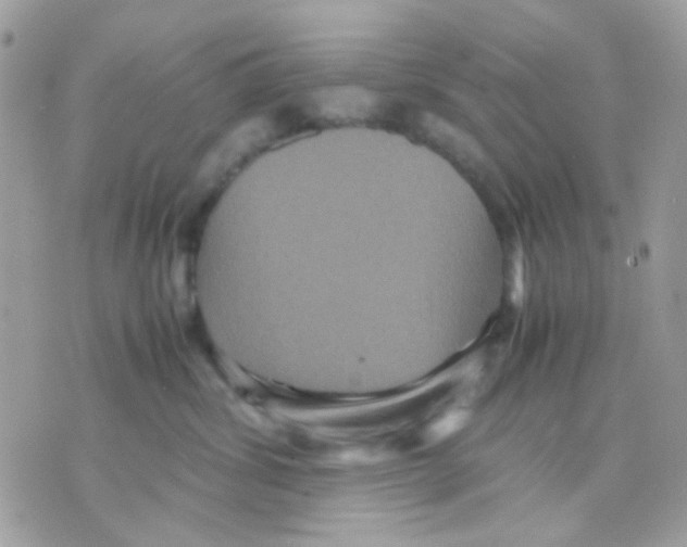 X0000070350428200607072043