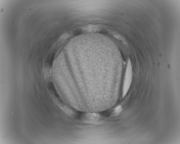 X0000070350429200607072043