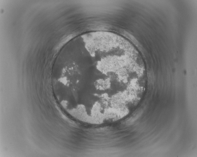 X0000070350433200607072042