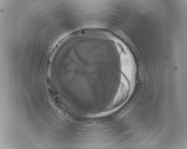 X0000070350434200607072042