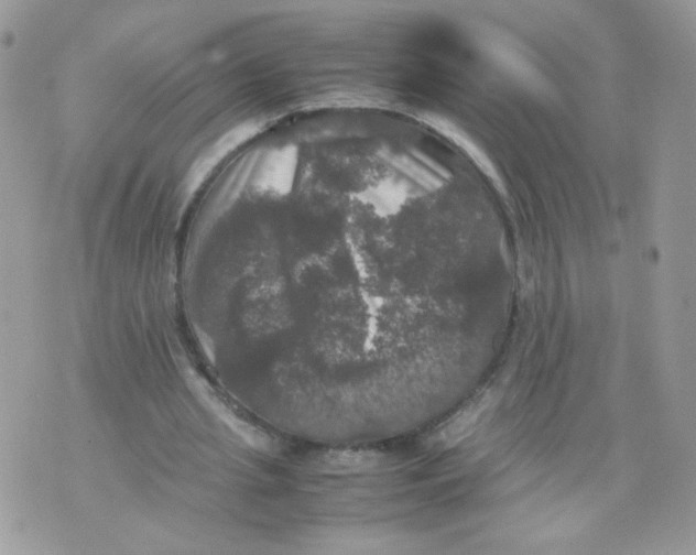 X0000070350437200607072042