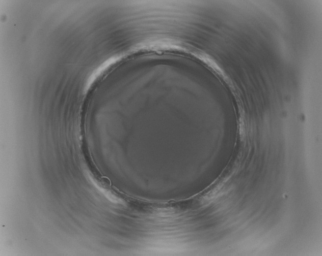 X0000070350438200607072042