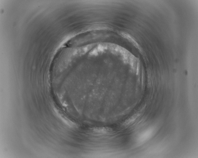 X0000070350439200607072042