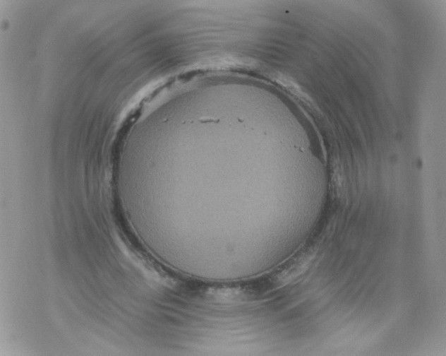 X0000070350440200607072042