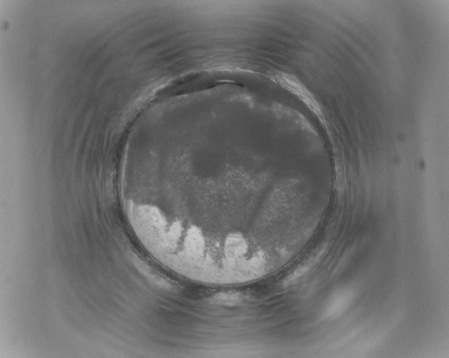 X0000070350441200607072042