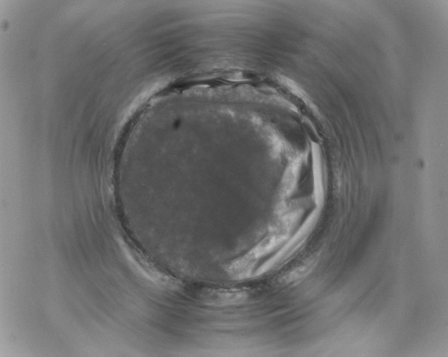 X0000070350443200607072042