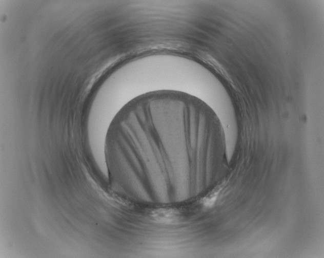 X0000070350444200607072042