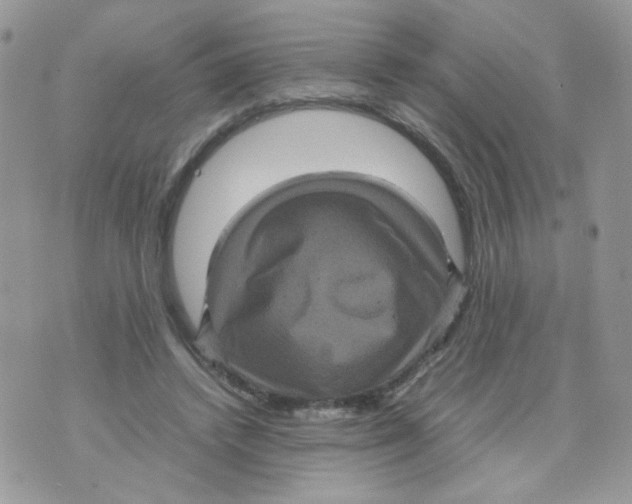 X0000070350448200607072042