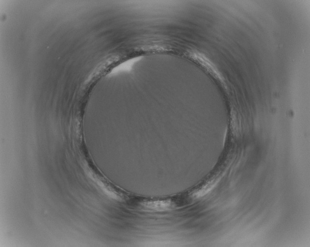 X0000070350449200607072042