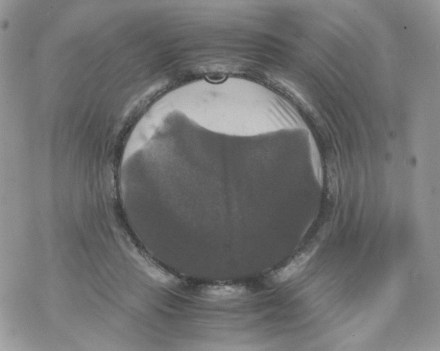 X0000070350453200607072042