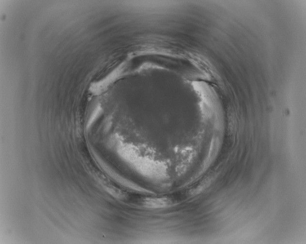 X0000070350457200607072042