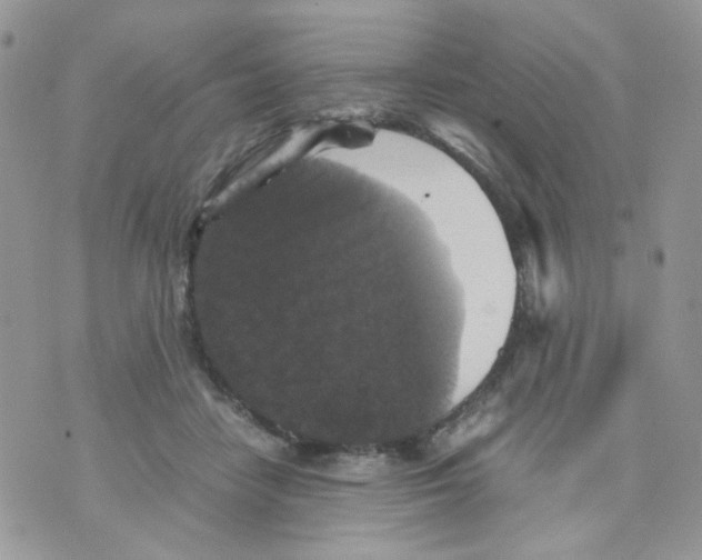 X0000070350458200607072042