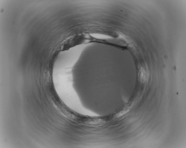 X0000070350459200607072042