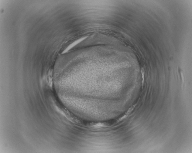 X0000070350460200607072042