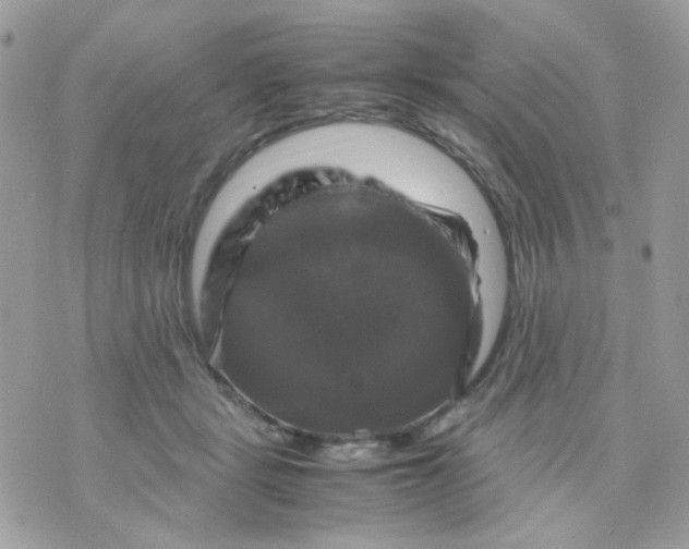 X0000070350461200607072042