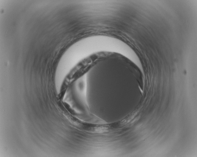 X0000070350462200607072042