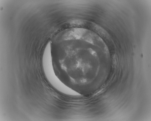 X0000070350463200607072042