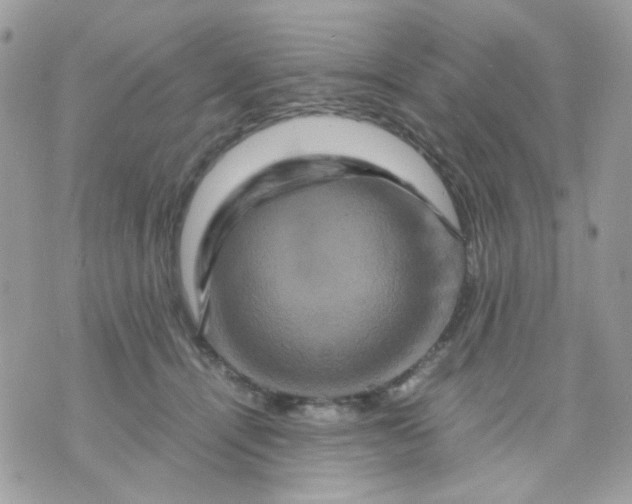 X0000070350464200607072042