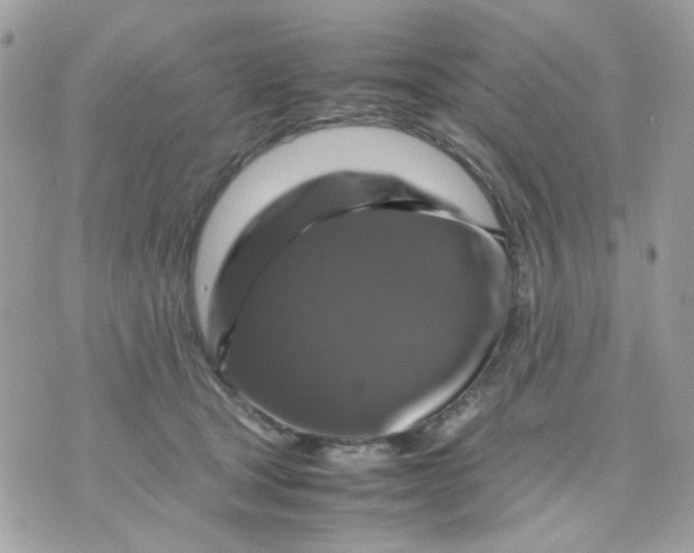 X0000070350465200607072042