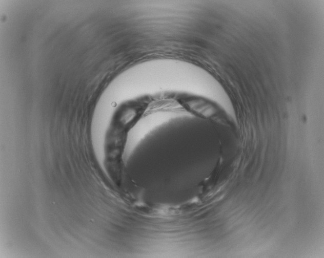 X0000070350466200607072042