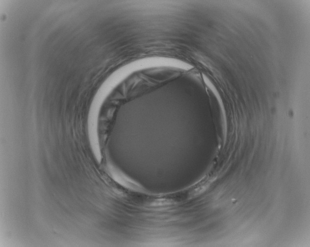 X0000070350467200607072042